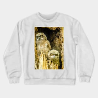 Baby Great Horned Owl Siblings Crewneck Sweatshirt